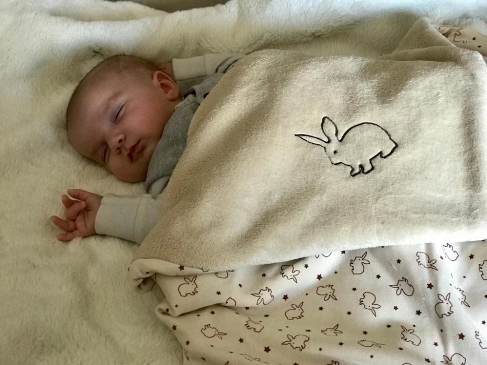 Dětská deka 100x70 cm moka králíčci Wellsoft bio-bavlna Kaarsgaren